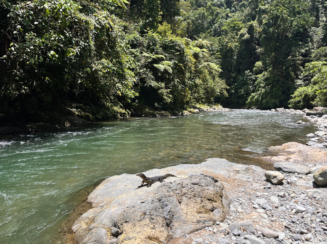 EcoTravel Bukit Lawang - Tours & Treks-武吉拉旺必去景点