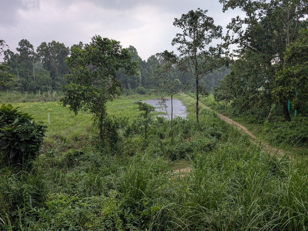 Nepal Dynamic Eco Tours & Services-奇旺国家公国必去景点