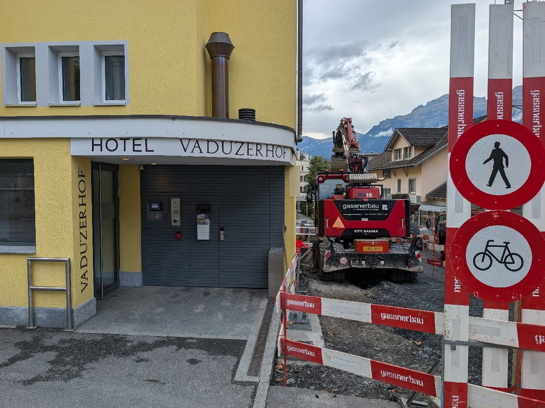 Hotel Vaduzerhof主图