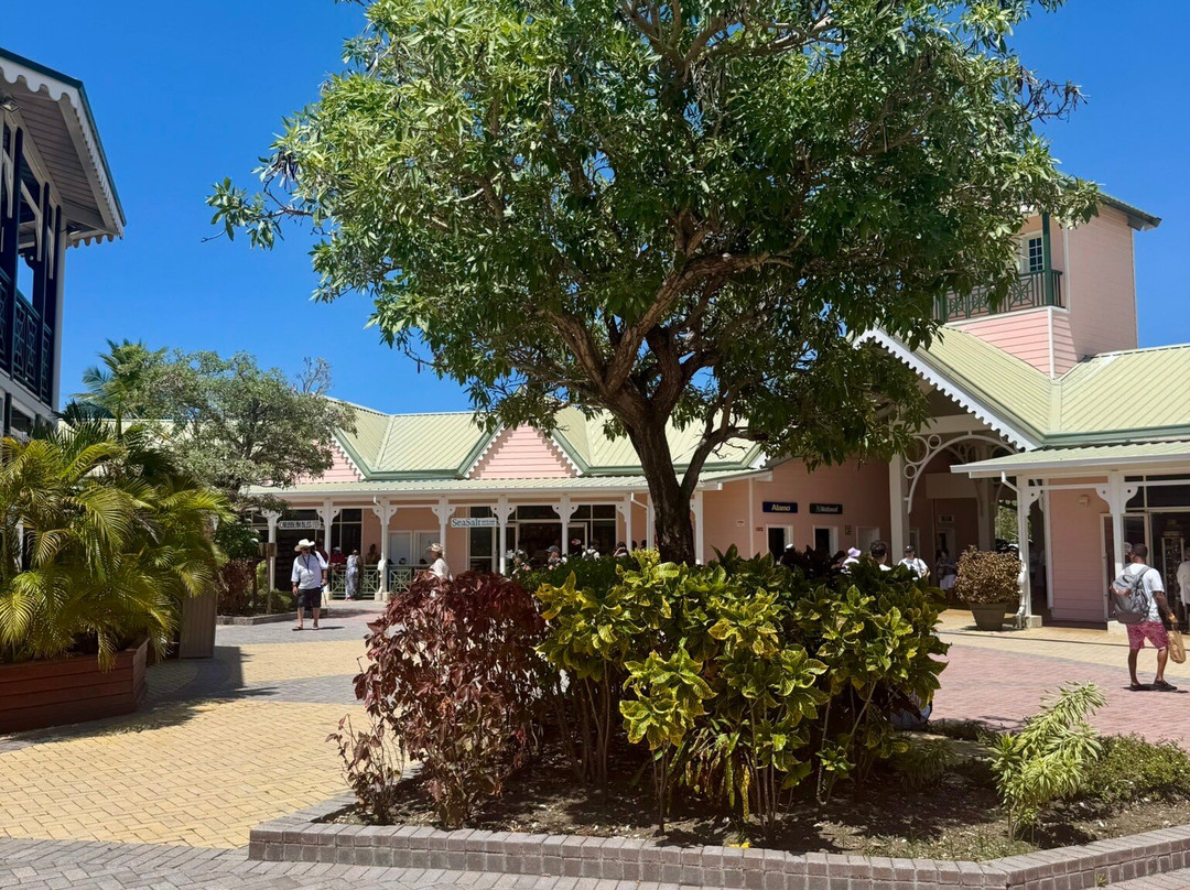 Amber Cove-普拉塔港必去景点