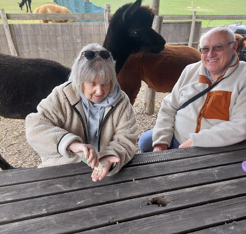 Lower Bush Alpacas-Cuxton必去景点