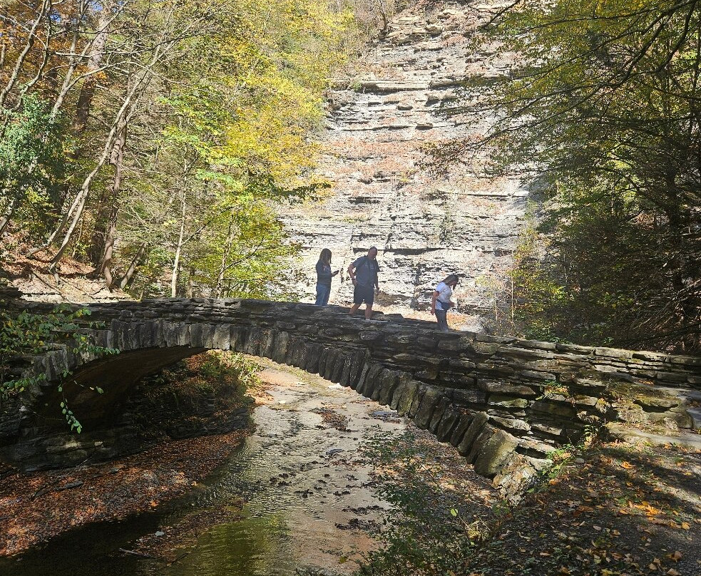 Stony Brook State Park-Dansville必去景点