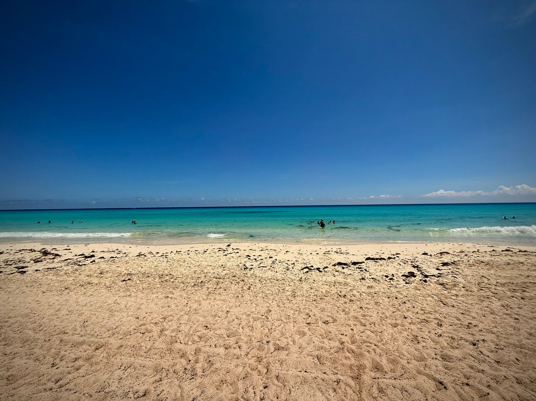 Playa Marlín-坎昆必去景点