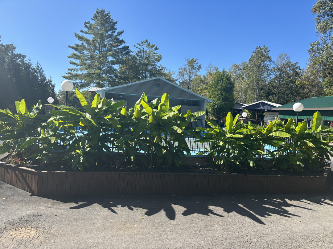 Timber Pointe Resort主图