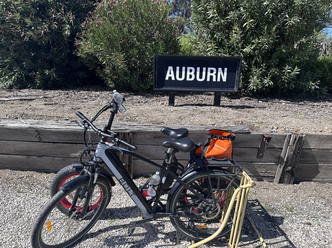 Riesling Trail Bike Hire-克莱尔必去景点