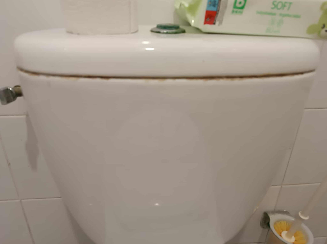 El Mouradi Skanes主图