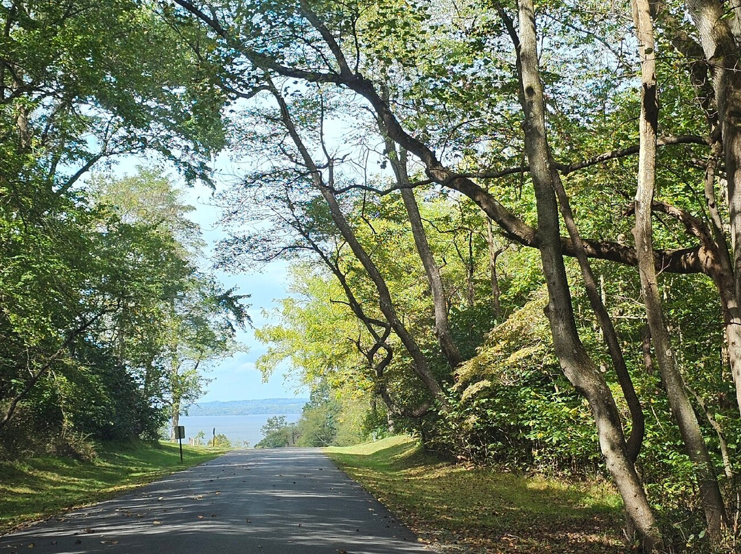 North East Beach-North East必去景点