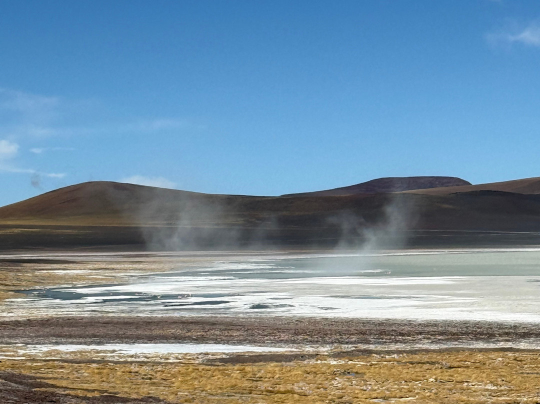 Laguna Brava-null必去景点