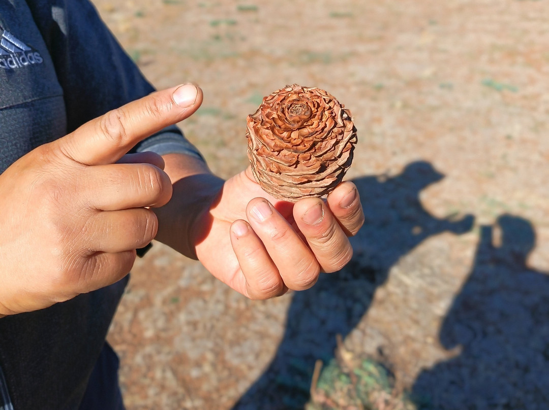 Saleh Boudaoud Official Guide-Azrou必去景点
