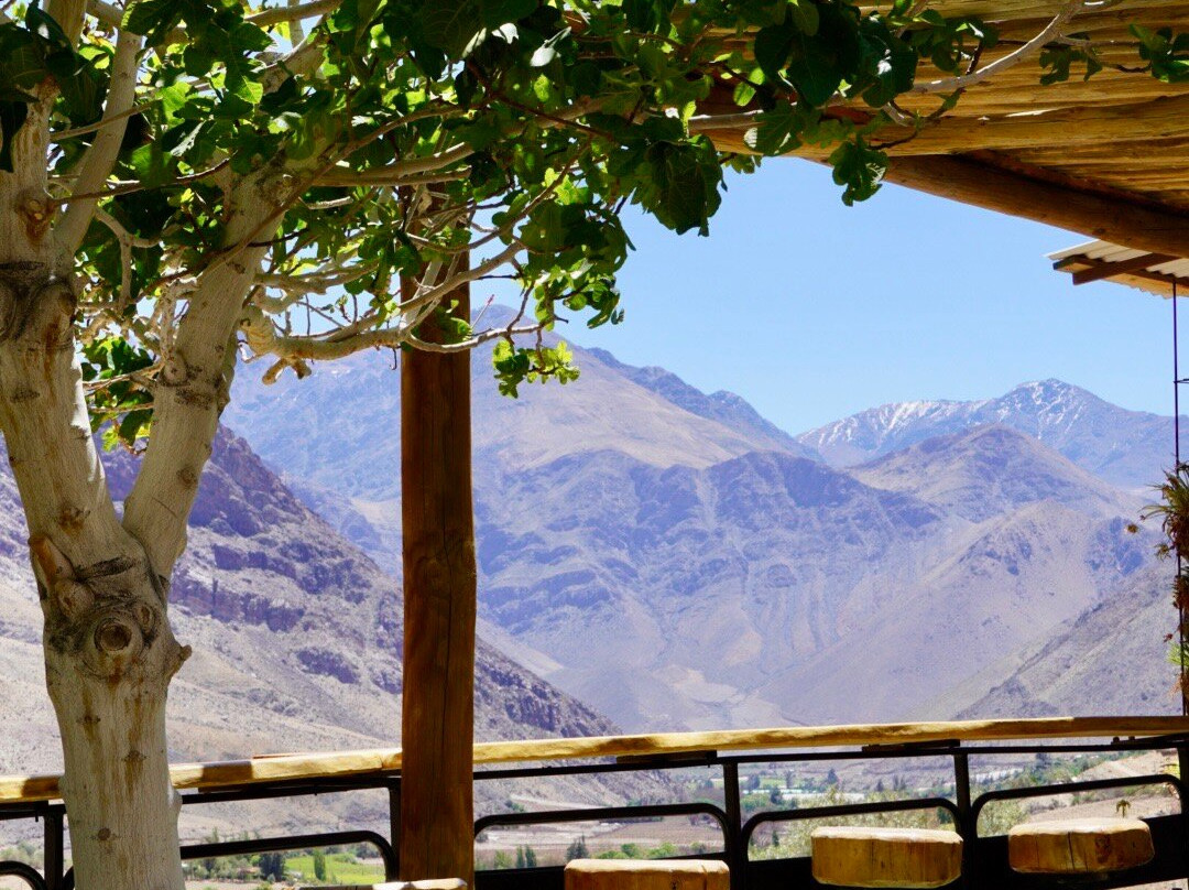 Elki Magic-Vicuna必去景点