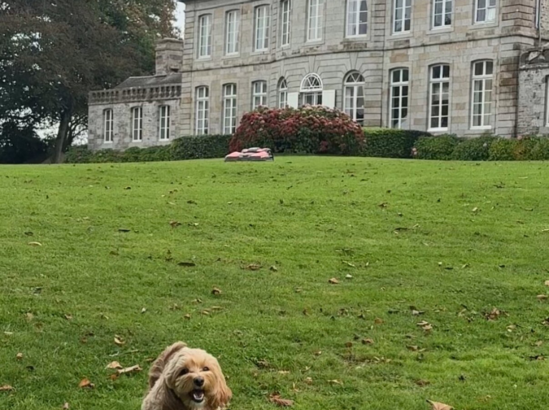 Chateau De Bouceel主图