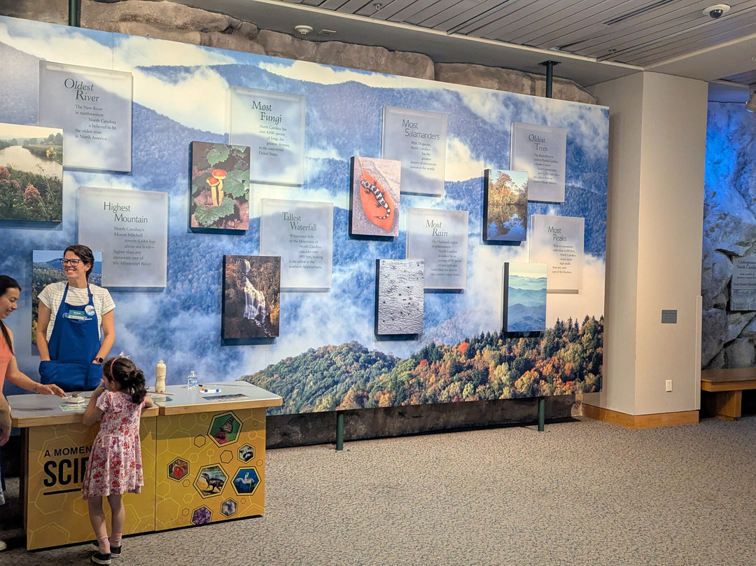 北卡罗来纳自然科学博物馆-罗利必去景点