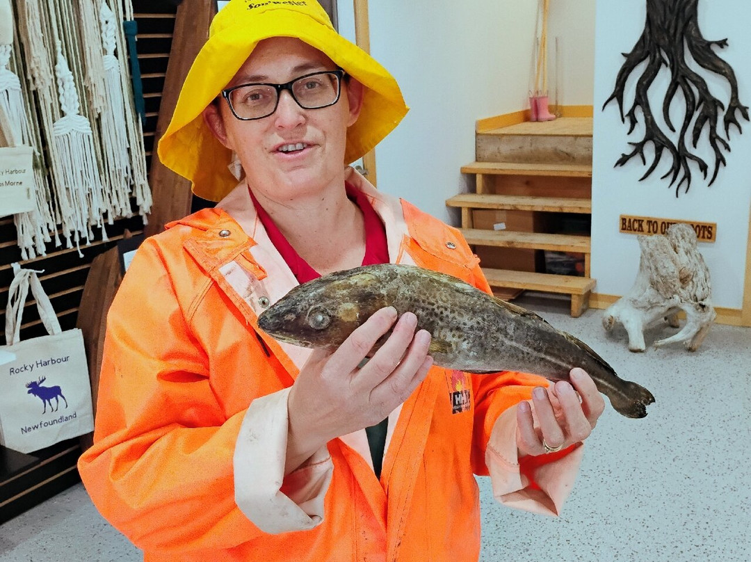 Under the Stump Inc-Rocky Harbour必去景点