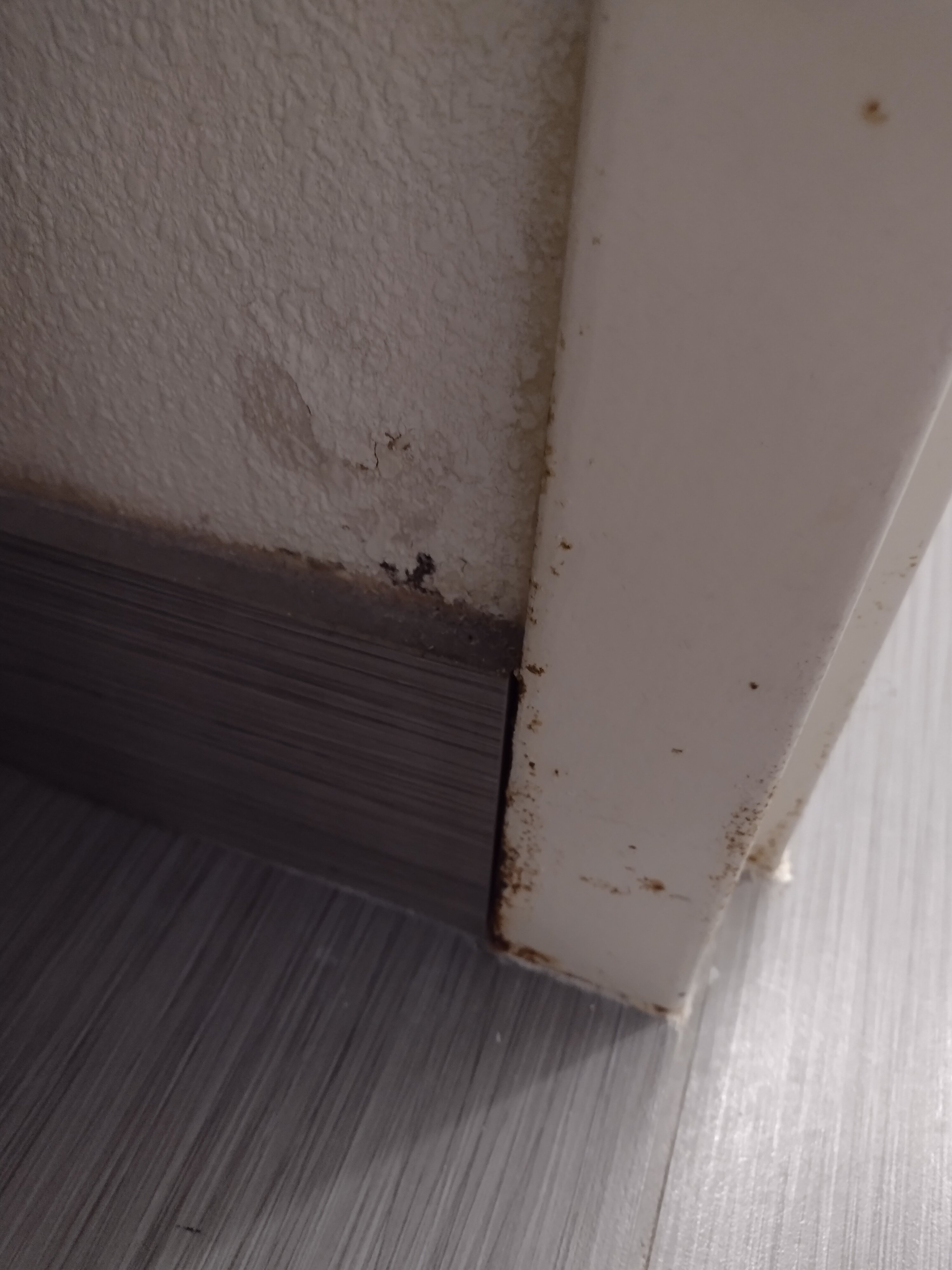 New Hope Inn & Suites-客卧