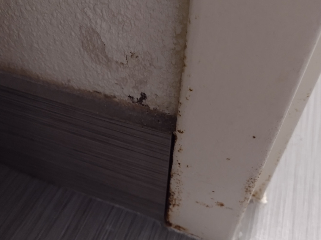 New Hope Inn & Suites主图