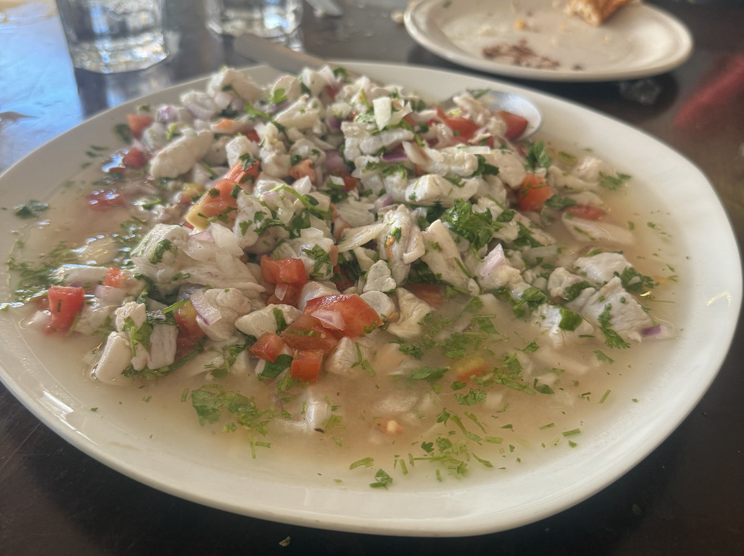 Yucatan Snook-Chuburna必去景点