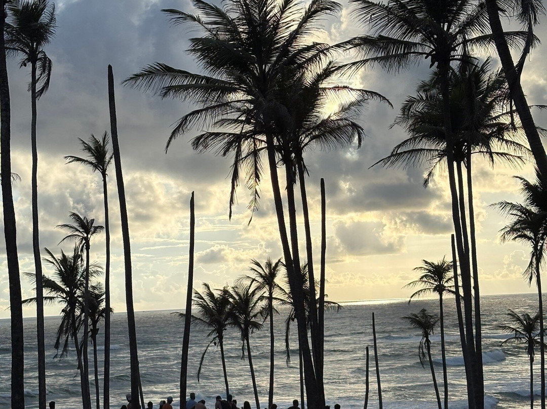 Ama  Lanka Tours-Minuwangoda必去景点