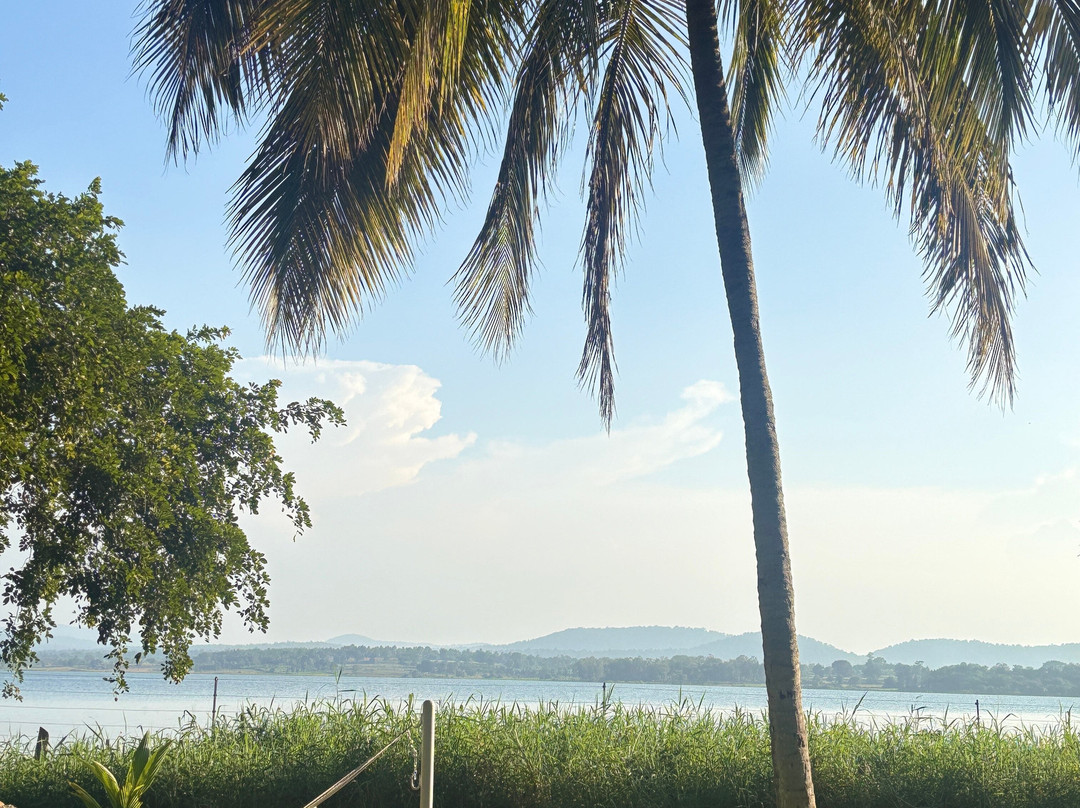 The Serai Kabini主图