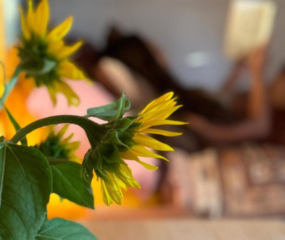 The Village Eco Stay Byron Bay