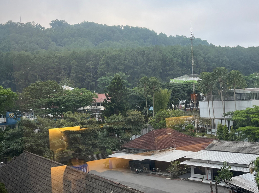 Atria Hotel Magelang主图