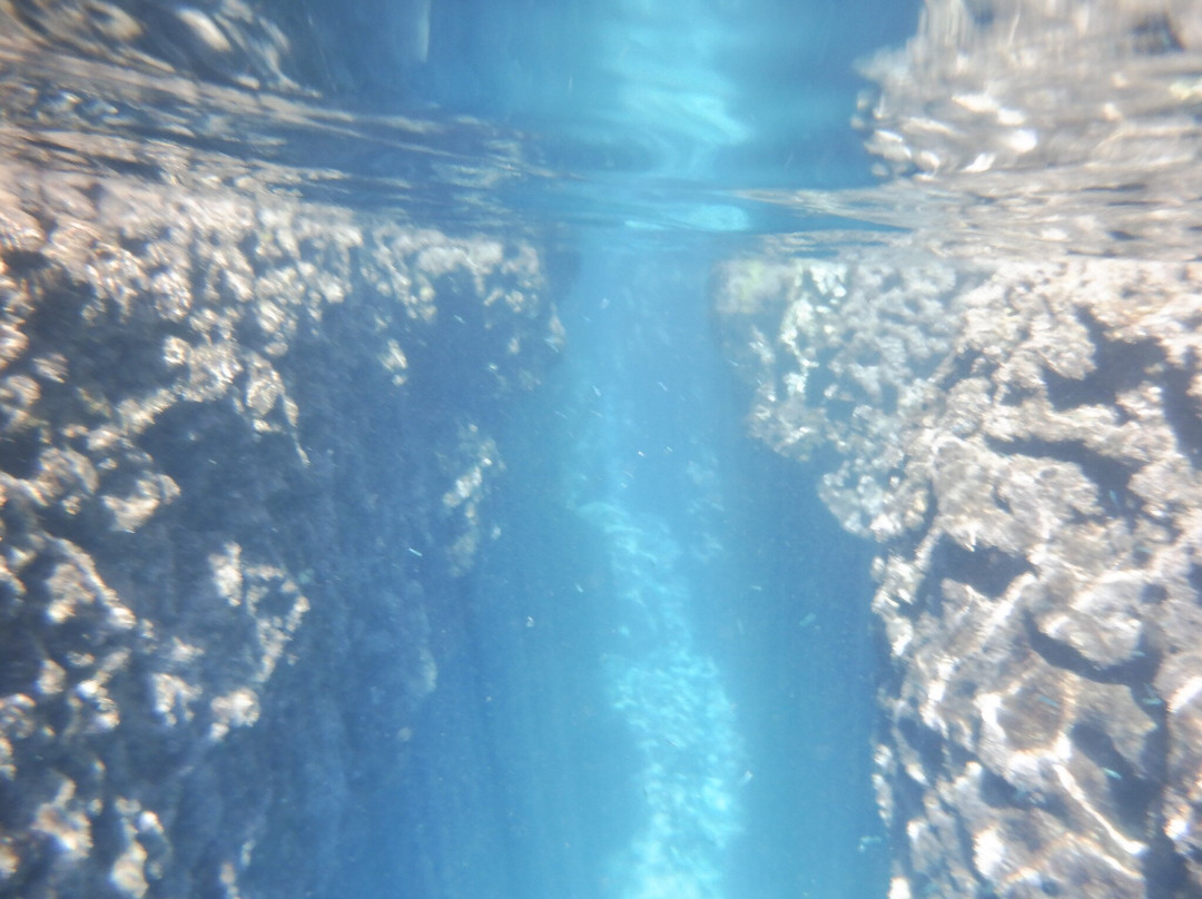 The Waterhoppers Diving School-罗德城必去景点