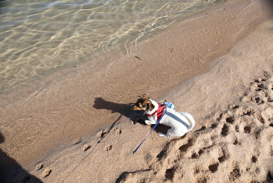 La plage de Verghia-Coti-Chiavari必去景点