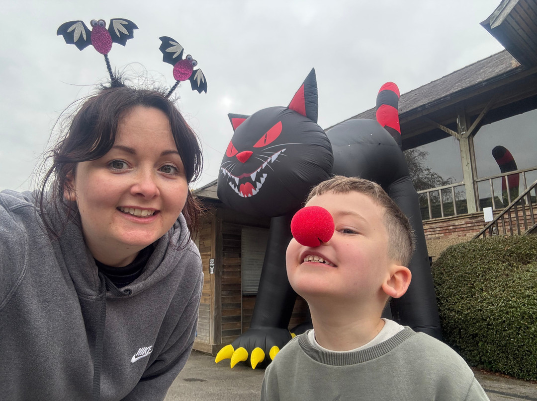 Lightwater Valley Family Adventure Park-North Stainley必去景点