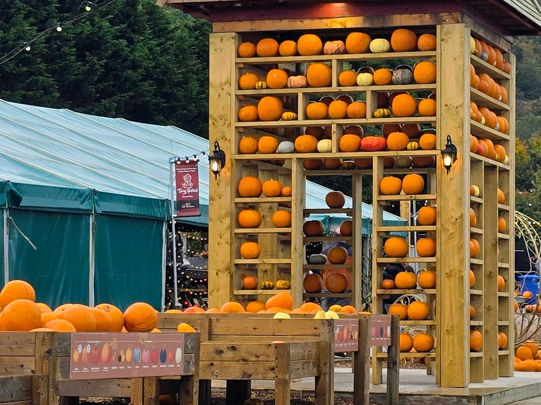 Manorafon Farm Park-Abergele必去景点