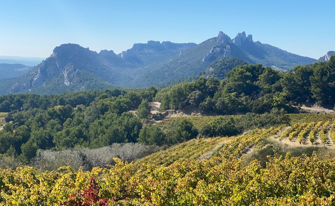 Le Clos Saint Saourde & SPA主图