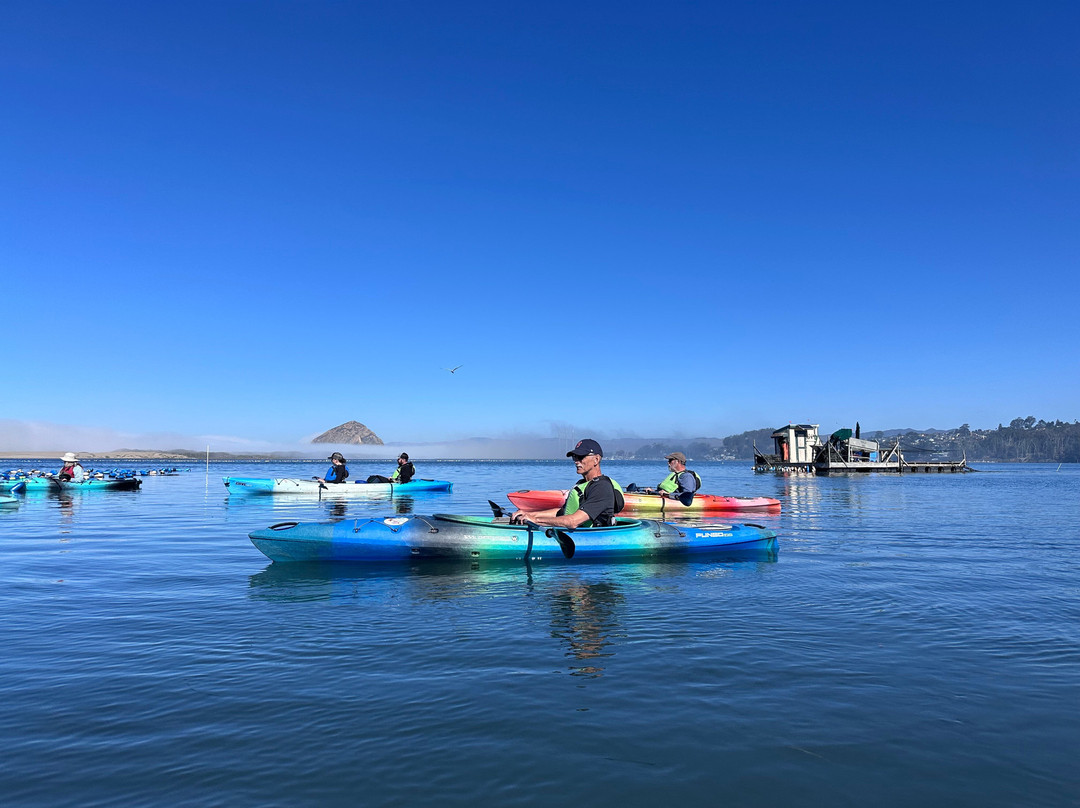Central Coast Outdoors-莫罗贝必去景点