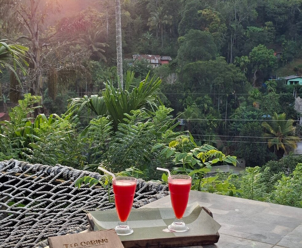 MD Tours - Private Driver Sri Lanka-加勒必去景点