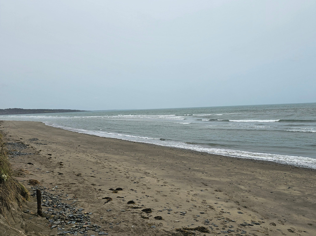 Bay Of Fundy-New Brunswick必去景点