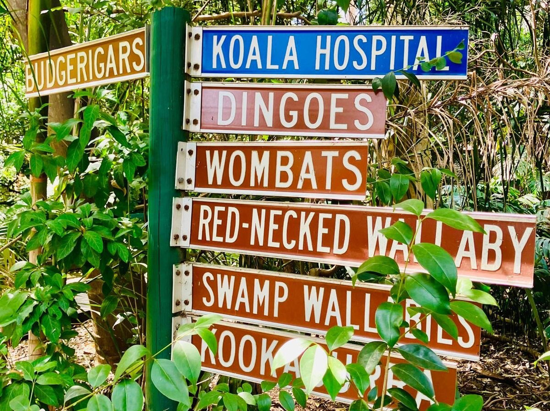 Koala Park Sanctuary-West Pennant Hills必去景点