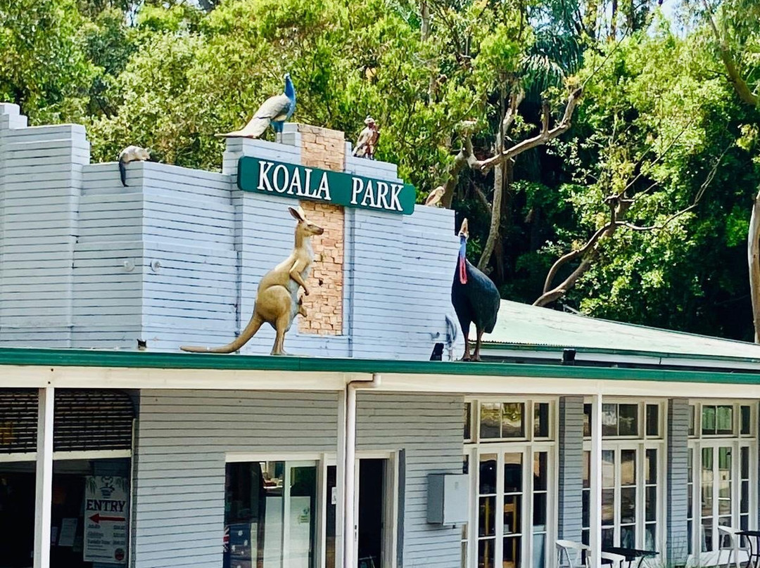 Koala Park Sanctuary-West Pennant Hills必去景点