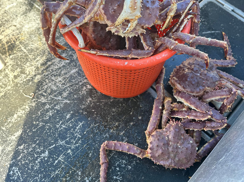 Juneau Adventures-朱诺必去景点