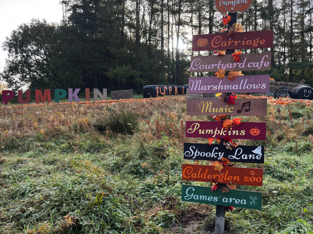 Calderglen Country Park-东基尔布赖德必去景点