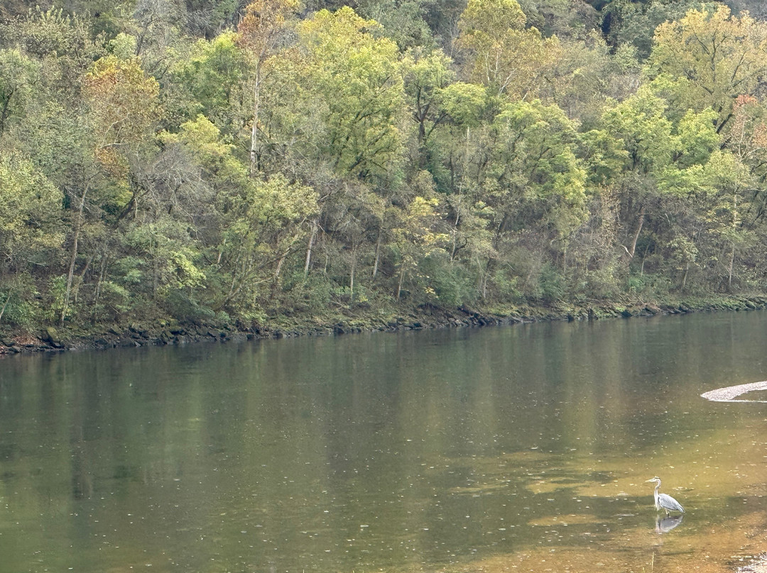 Cox's Guide Service-Bull Shoals必去景点