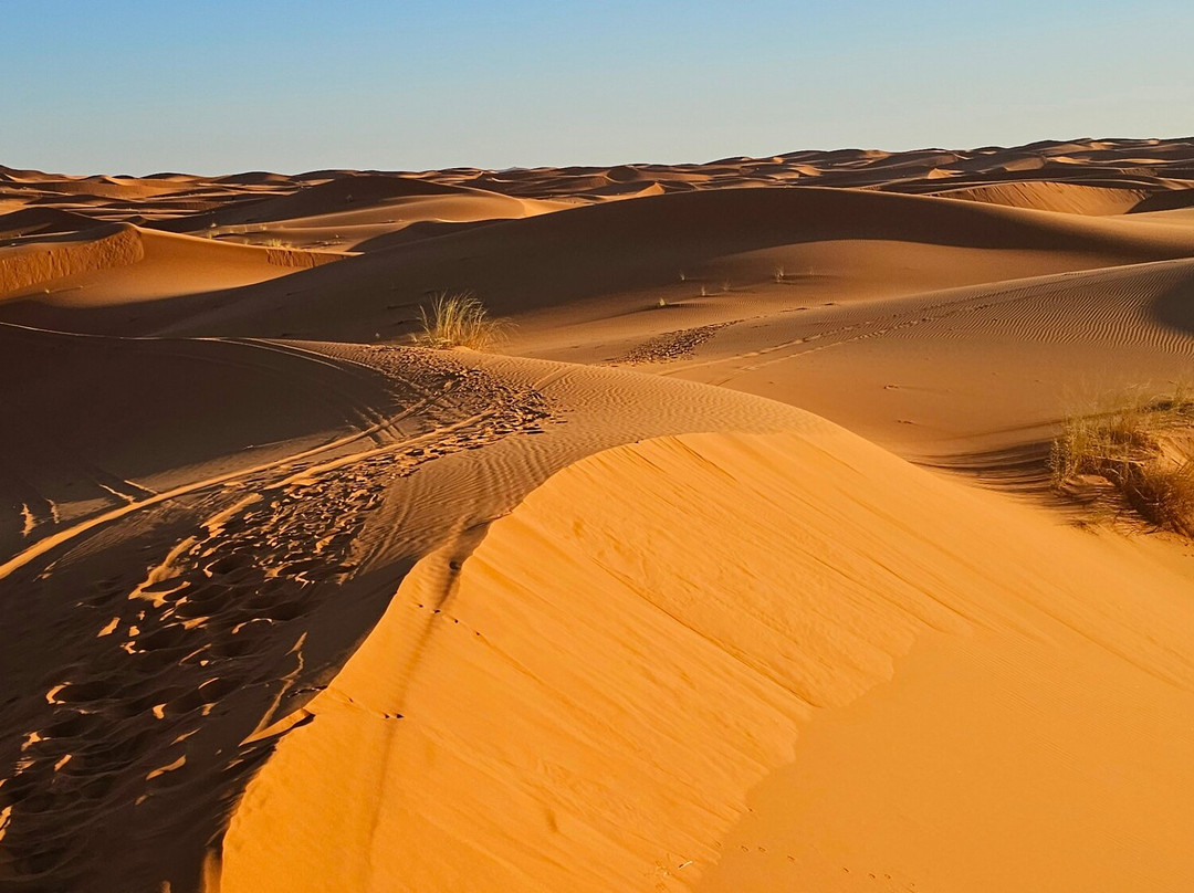 Camel Trekking-梅如卡必去景点