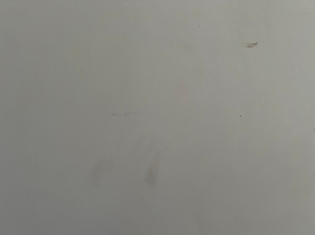 TUI BLUE Flamingo Beach主图