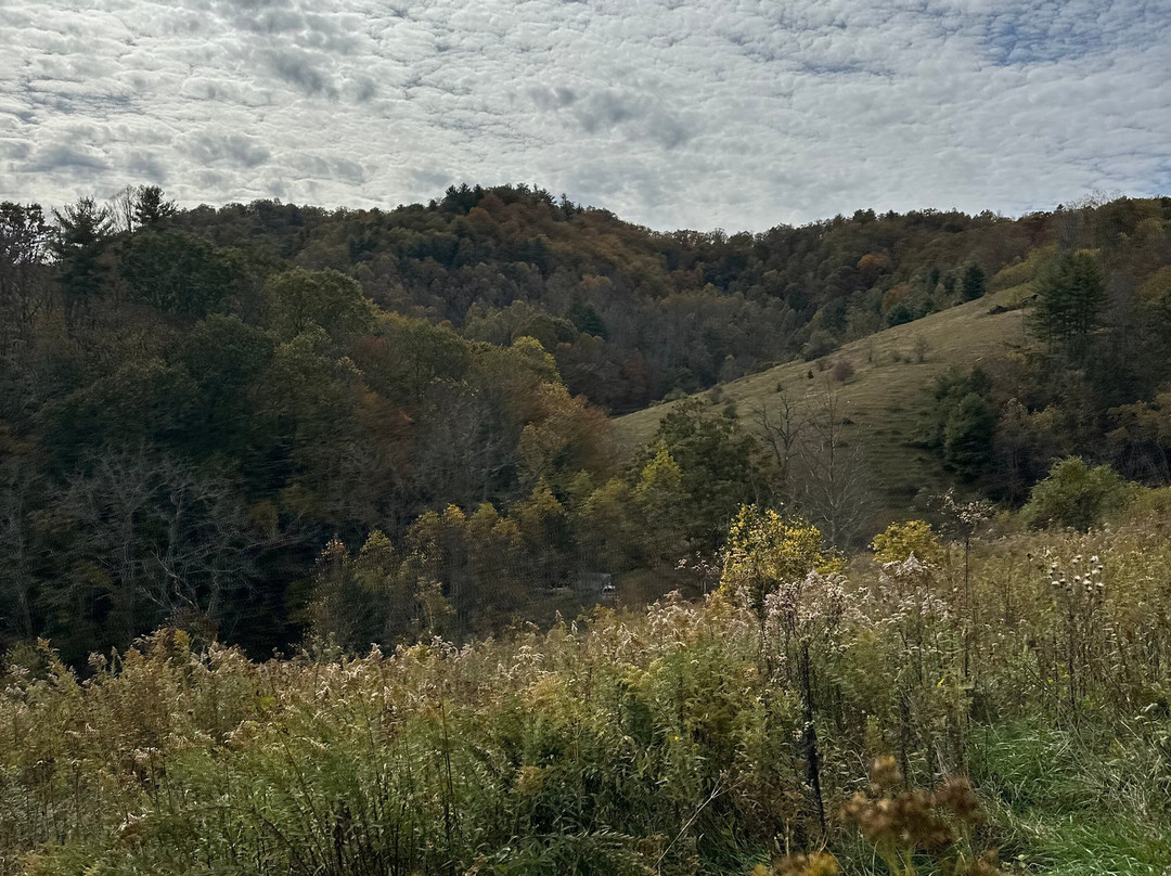 Smoky Mountain Trail Rides and Bison Farm-Marshall必去景点