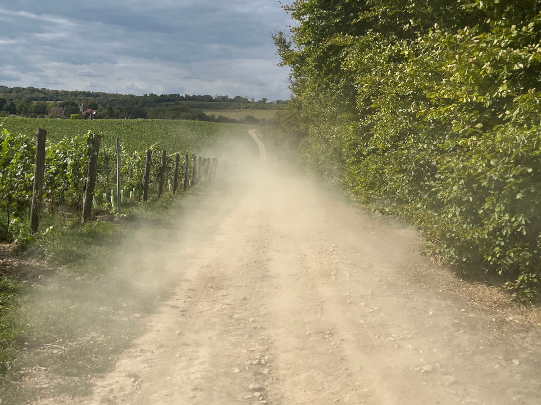 Silverhand Estate-Luddesdown必去景点