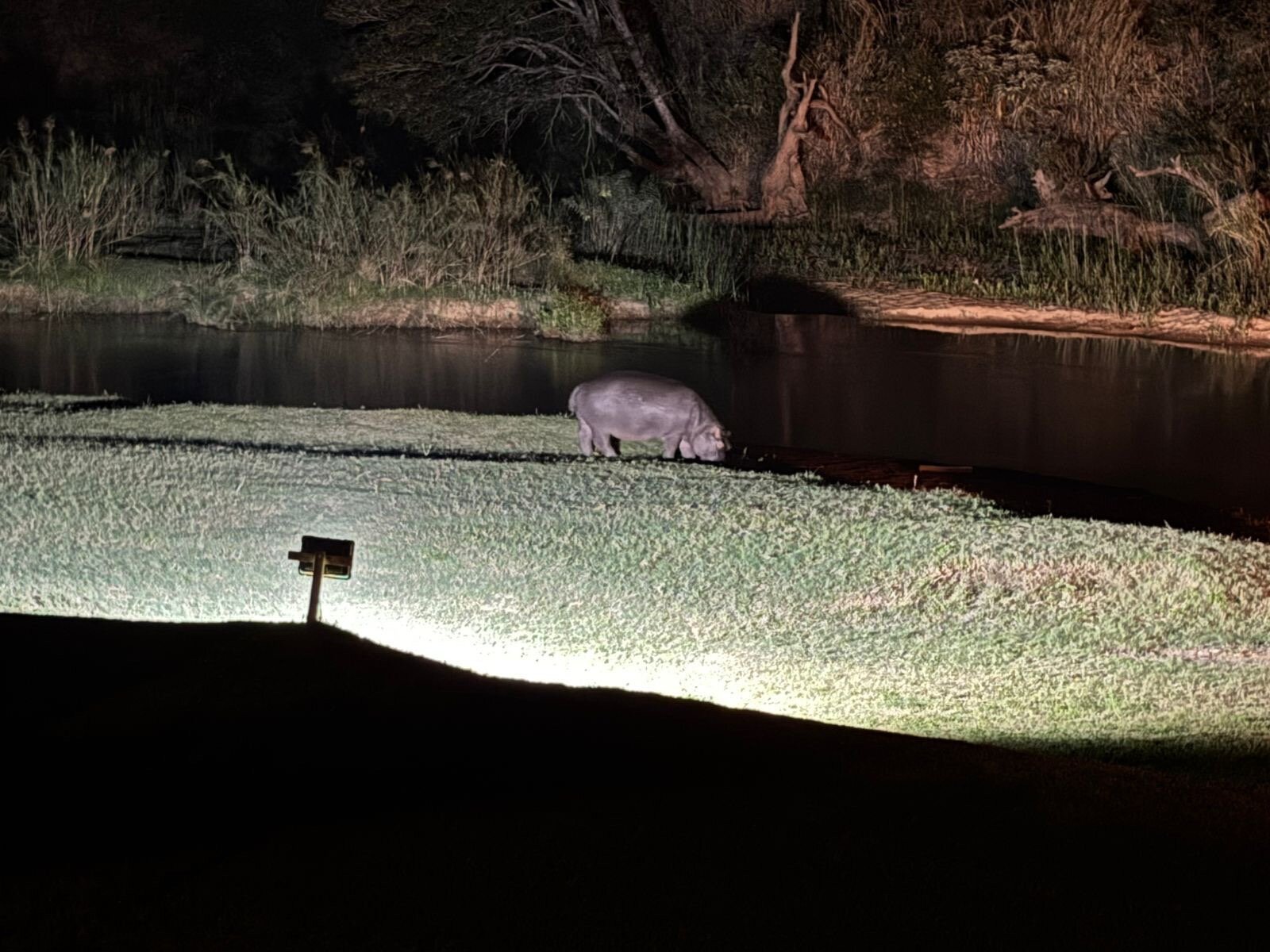 Hippo Hollow Country Estate-官方