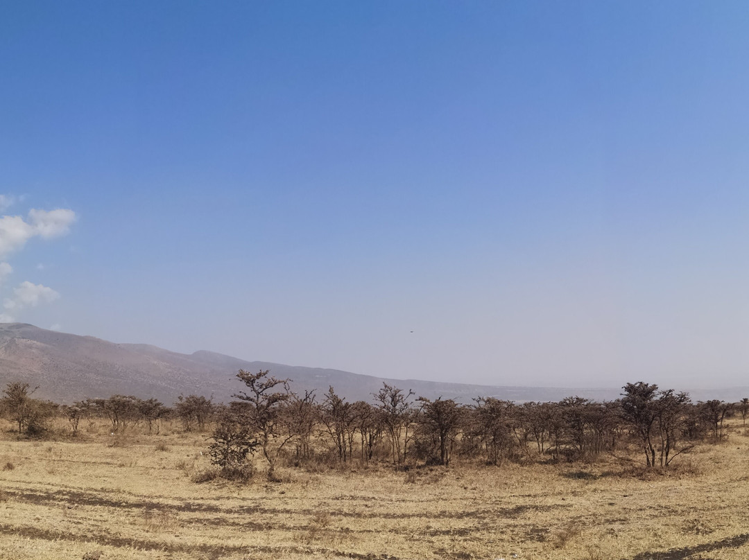 Safari Avventura-阿鲁沙必去景点