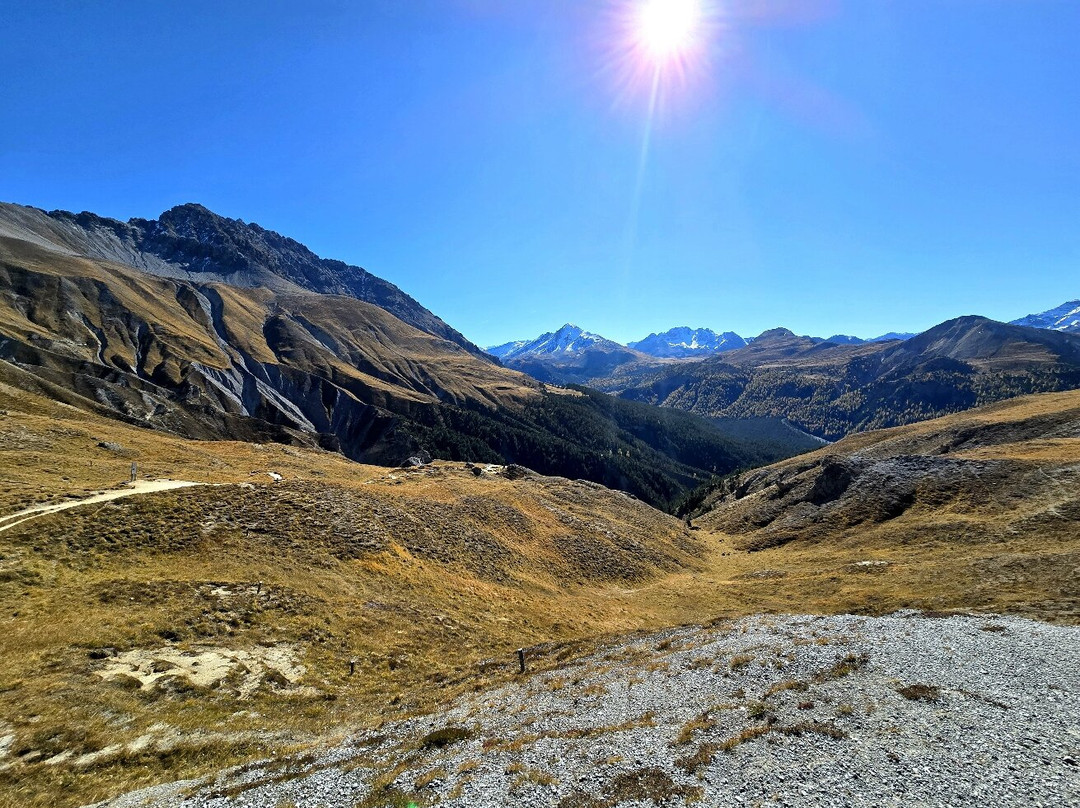 Swiss National Park (Parc Naziunal Svizzer)-Zernez必去景点