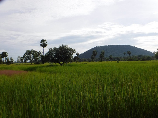 Green Frog Motorbike Adventure-暹粒必去景点