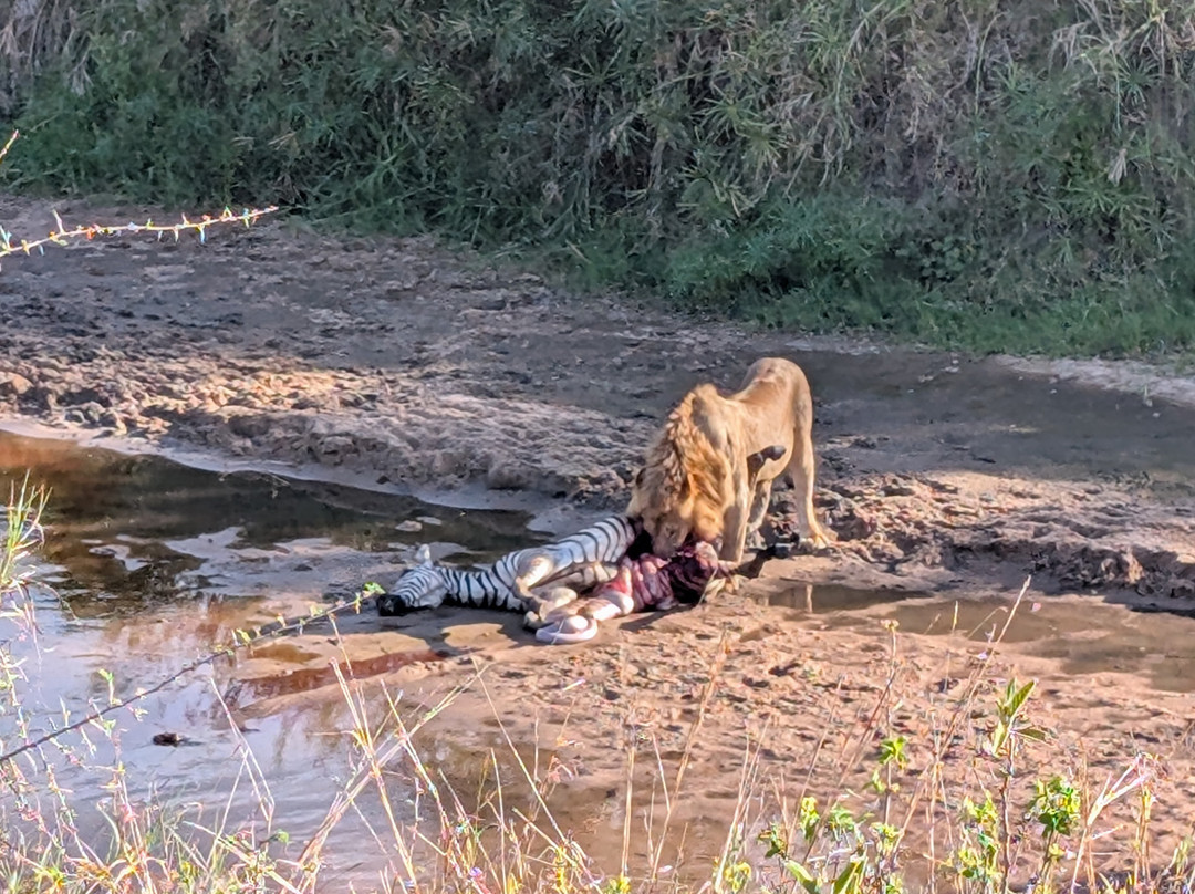 Zara Tanzania Adventures-莫西必去景点