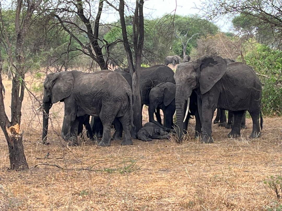 Kandoo Adventures-彭里斯必去景点