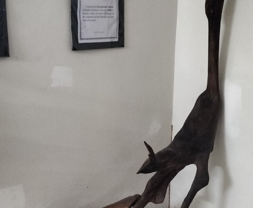 Bay Island Driftwood Museum-科塔亚姆必去景点