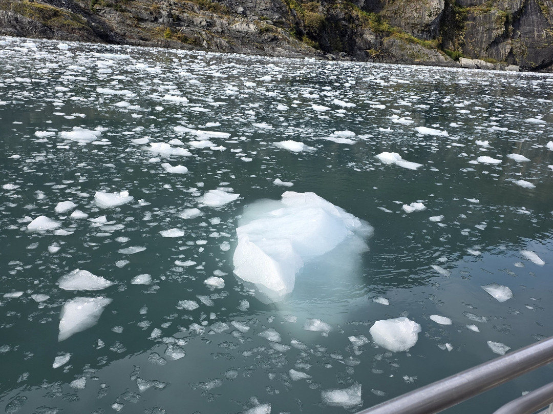 Lazy Otter Charters-惠提尔必去景点