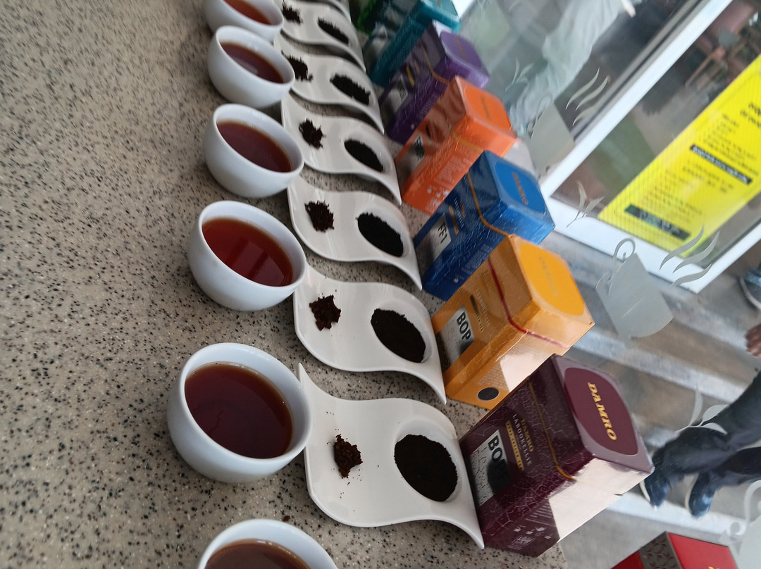 SS Lanka Tours-凯拉尼亚必去景点